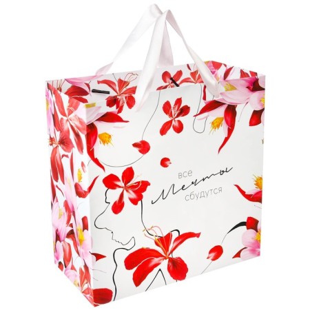 Gift package "Dreams will come true" 22x22x11 cm, packaging, princesses-1