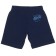 Shorts for a boy, height 110 cm (60), blue color_160094