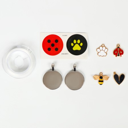 Set "Create a decoration. Lady of God's cow "-3