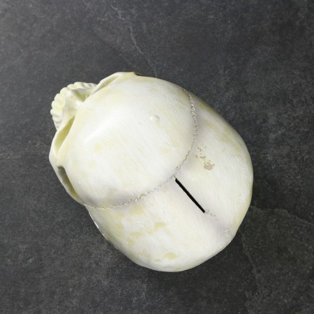 Piggy bank "Skull" Bone Bone, 16x13x22cm-4