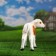 Garden figure "calf" 27cm