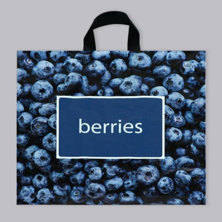 Blueberry package, polyethylene with a loop pen, 44 x 42 cm, 70 μm