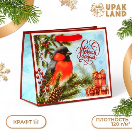 New Year. New Year's Paper Gift Package, Happy New Year, 24 x 20 x 11 cm.