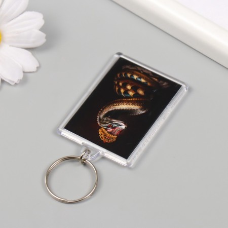 Acryl keychain "Snake with crown" 3.5x5 cm-3