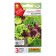 Seed a mixture of salad cultures assorted c/n 0.5g