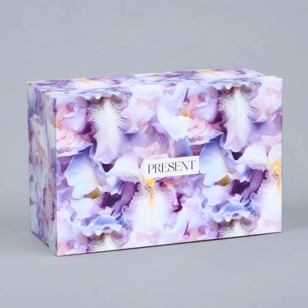 Rectangular gift box, packaging, Pressent, 26 x 17 x 10 cm-1