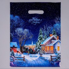 Snow Wide package, polyethylene with a cut pen, 30x40 cm, 30 μm set 10 pieces