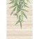 Ceramic Zenda ZD2N012DT, Beige, 300x450 mm