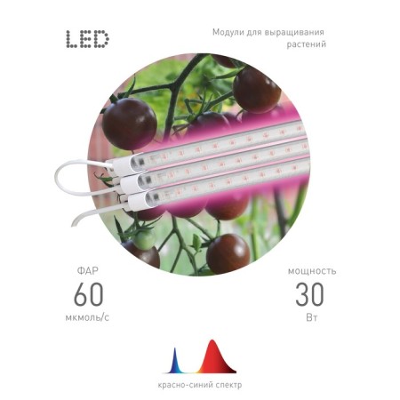 Modular lamp for plants ERA Fito-3x10w-line-RB90 red-blue spectrum 30 W-6