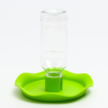 Terrarium drinker, 15.5 x 15.5 x 2.5 cm