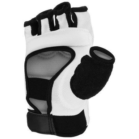 Gloves for Taekwondo Fight Empire, p. XL-1