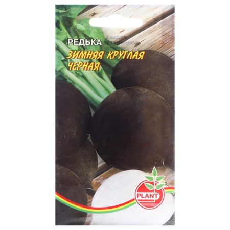 Seed Radish Round winter black, 1 g