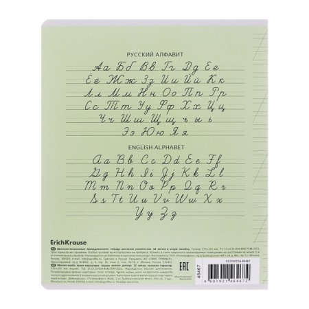 Notebook of 12 sheets in the slanting ruler, Erichkrause Visio "Classic", cover coated cardboard, offset block, green-4
