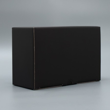 Box - Penal, Gift packaging, "black", 22 x 15 x 10 cm-1