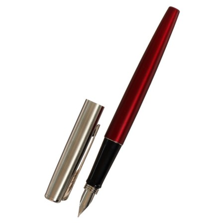 Gift feathers in the leatherette case, Bordeaux body with silver-2