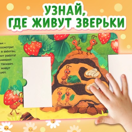 Cardboard book with windows “Who lives in the house?”, 12 p.-3