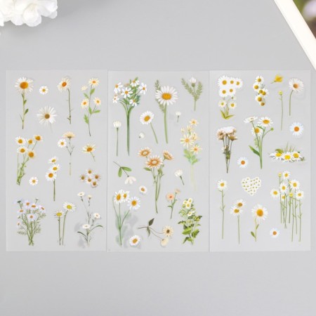Stickers plastic "chamomile" set of 6 sheets 10x18 cm