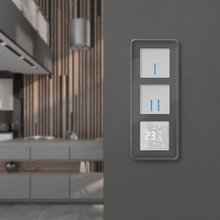 Frame W0032440, 3 Elite sockets, graphite, glass-6