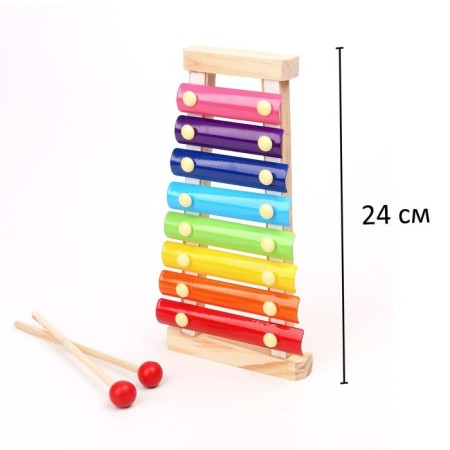 Metallophone, 8 tones + cards with songs-3