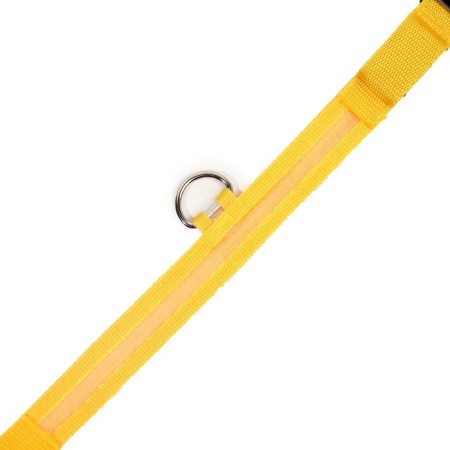 Collar with backlight size XL, Osh 52-60 x 2.5 cm, 3 glow modes yellow-8