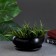 Pot "Bonsai Small" black, 0.6, l/ 17x14x7cm