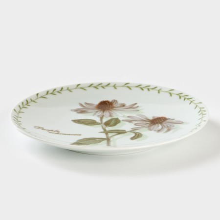 Porcelain plate "Botanika", D = 20 cm-1