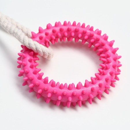 Cable toy with chewing elements "2 spiked rings", up to 29 cm, up to 120 g, mix-2