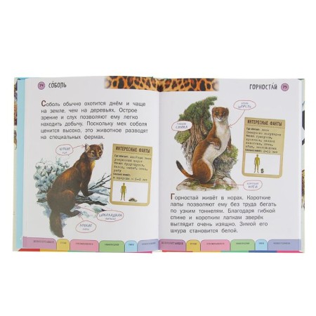 All animals with large letters. Ananieva E. G.-2