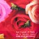 Incense "hem" 8 sticks coal honey and rose