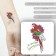 Tattoo on the body color "Parrot Ara - in the spotlight" 6x6 cm