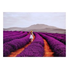 Picture on the canvas 