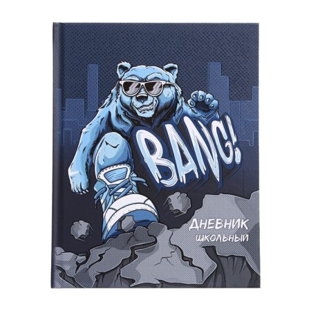 The diary is universal, for grades 1-11, "steep grizzly", a solid cover, matte lamination, selective UV-lame, an offset block, a universal cheat sheet, 48 sheets