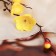 Flowers artificial "Sakura branch" 50 cm, yellow