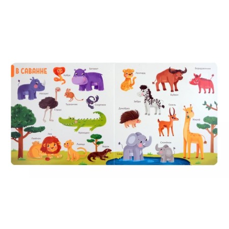 150 first words "Animals"-2