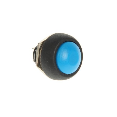 REXANT PBS-33V, 250 V, 1A (2C), ON -OFF, b/fix, Micro, blue