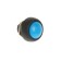 REXANT PBS-33V, 250 V, 1A (2C), ON -OFF, b/fix, Micro, blue