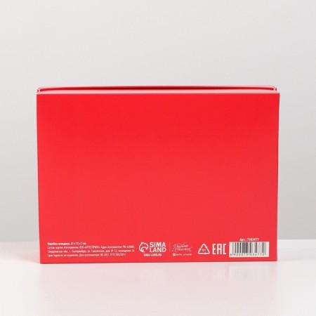Gift folding box, packaging, “red”, 21 x 15 x 7 cm-4
