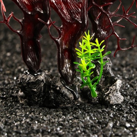 Decor for the Aquarium "Coral Plant", 34 x 10 x 28 cm-2