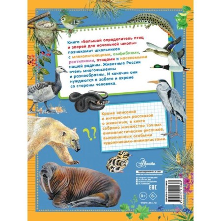 Big determinant of birds and animals for elementary school. Stankevich S.A.-1