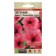 Flowers of Petunia Dreams "Coral Pen", SE. ALT, c/n, 10 pcs