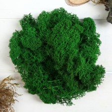 The moss stabilized 