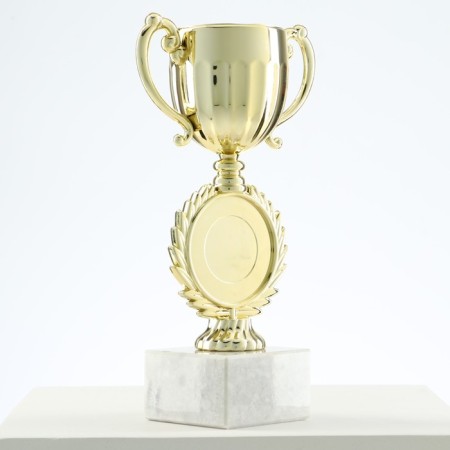 Cup 186, award figure, gold, stand stone, 17 x 9.5 x 5 cm.-2