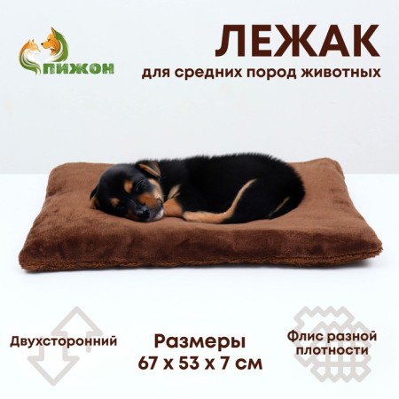 Animal mattress, bilateral, 67 x 53 cm, brown