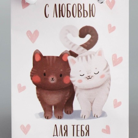 Gift laminated package, packaging, “cats”, 7 x 10 x 7 cm-5