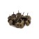 Decorative nails, 19x22 mm, color of bronze, in packaging 50 pcs
