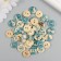 Buttons wood for creativity 2 punctures "sea surf" set 40 pcs 1.5x1.5x0.4 cm