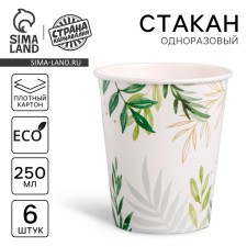 A one -time paper glass 