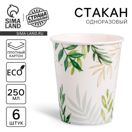 A one -time paper glass "Nature", 250 ml, a set of 6 pcs