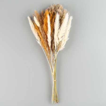 Set of dried flowers of 5 types "Grace" 48x16x6 cm-2