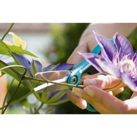 Sadovy scissors, 7 "(18 cm), with plastic handles," shnip-shnap "-4